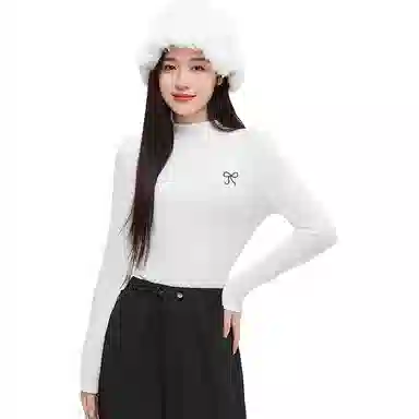 AWAO Logo T
