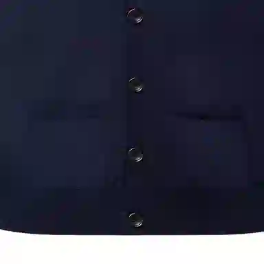 LOUIS VUITTON FW24 V