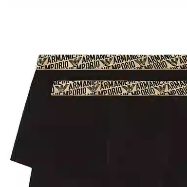 EMPORIO ARMANI FW24 Logo 2