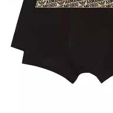 EMPORIO ARMANI FW24 Logo 2