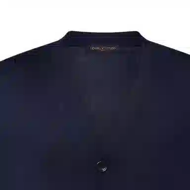 LOUIS VUITTON FW24 V