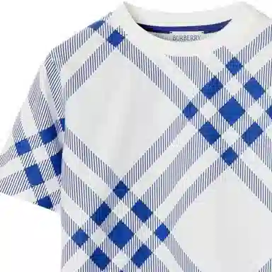 Burberry T