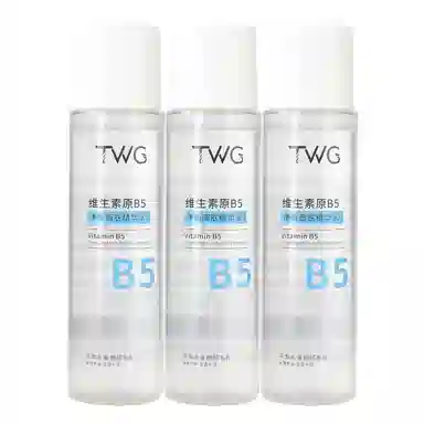 TWG B5 200ml