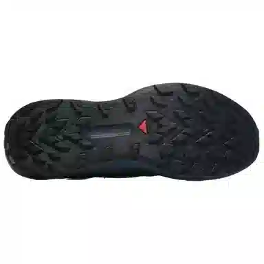 SALOMON Genesis