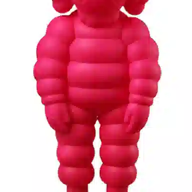 KAWS TAKYO FIRST WHAT PARTY CHUM 29cm