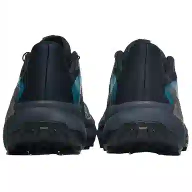 SALOMON Genesis