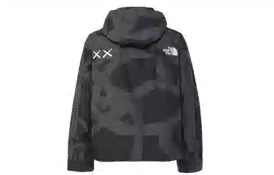 The North Face x KAWS