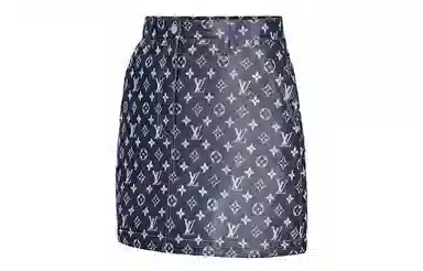 LOUIS VUITTON Monogram