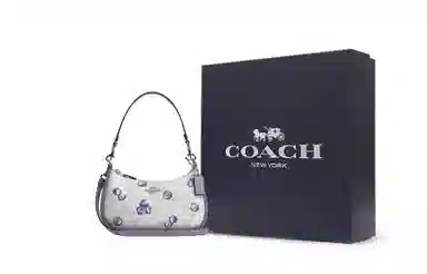 COACH Teri 24