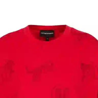 EMPORIO ARMANI SS22 T