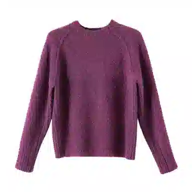 晚白 绵羊毛软糯不扎肤高弹力针织衫 女款 紫色