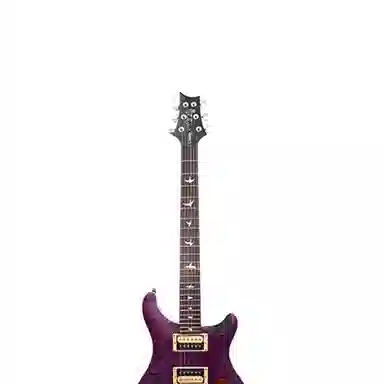 PRS SE Custom24 CU44CU44Q