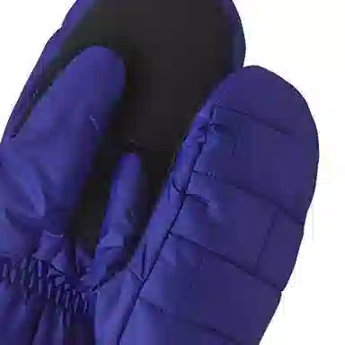 patagonia -