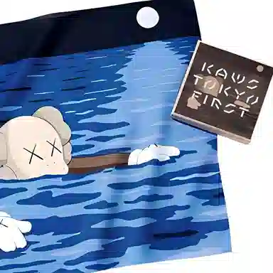 KAWS TOKYO FIRST TIDE