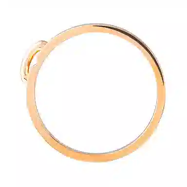 Chaumet Liens vidence ()