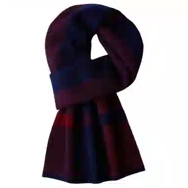 红豆 保暖加厚时尚百搭针织 羊毛 围巾 男款