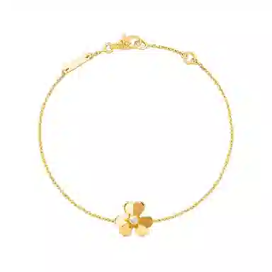 Van Cleef Arpels Frivole K
