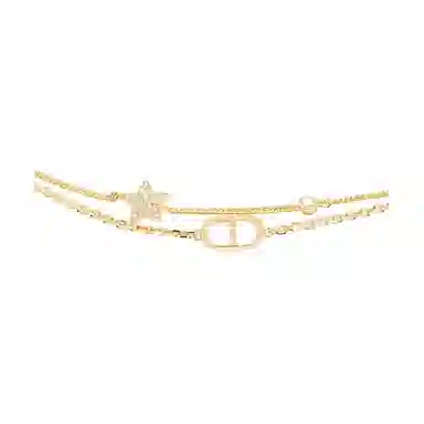 DIOR BOIS DE ROSE CD