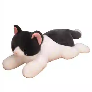 Tak bebe 50cm70cm120cm