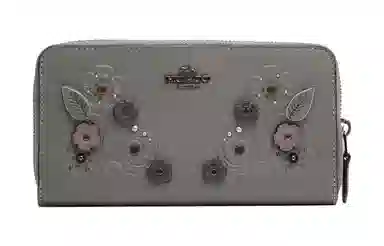 COACH Accordion 20