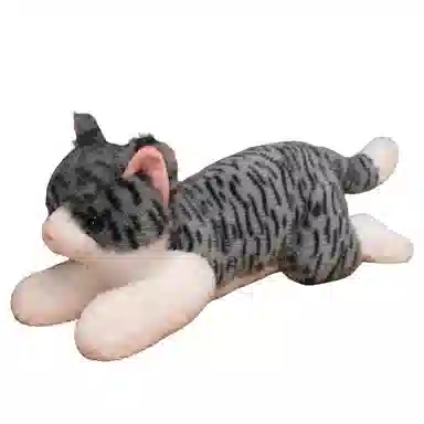 Tak bebe 50cm70cm120cm