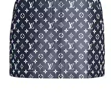 LOUIS VUITTON Monogram