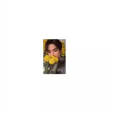 HYBE SEVENTEEN 8Your Choice