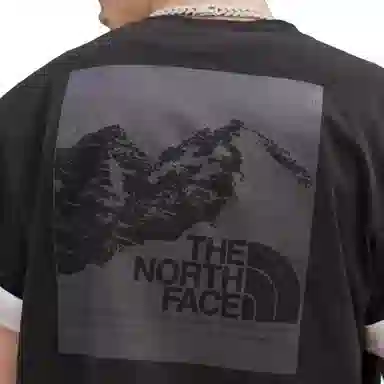 THE NORTH FACE T