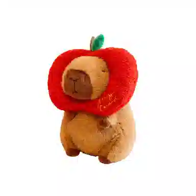 25cm