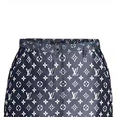 LOUIS VUITTON Monogram