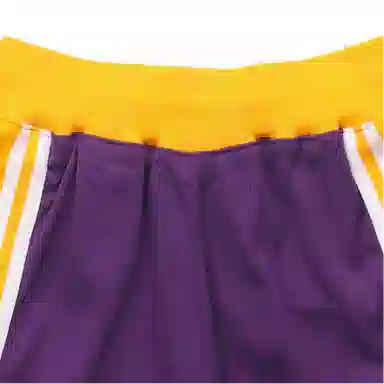 Mitchell & Ness Lakers 96-97 Purple
