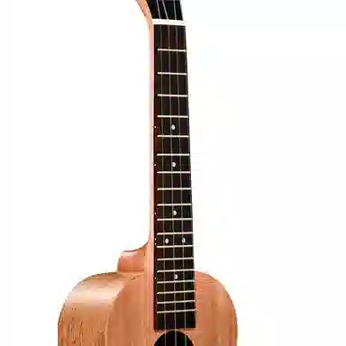 MODEST DREAM F20C 23"