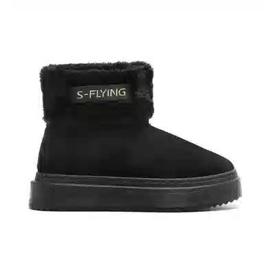SNOW FLYING