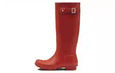 Hunter Wellington Boots