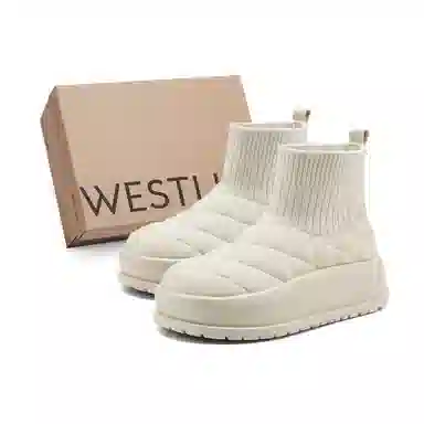 WESTLINK