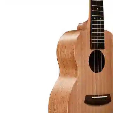 MODEST DREAM F20C 23"