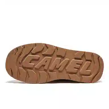 CAMEL