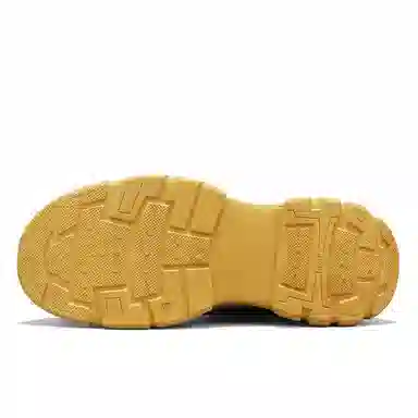 tonlion