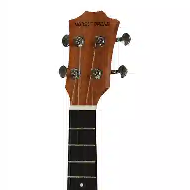 MODEST DREAM F1 23"