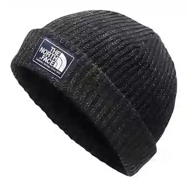 THE NORTH FACE FW21 Salty Dog Beanie 3FJW JK3