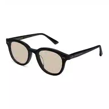Gentle Monster Irregular Sunglasses Black