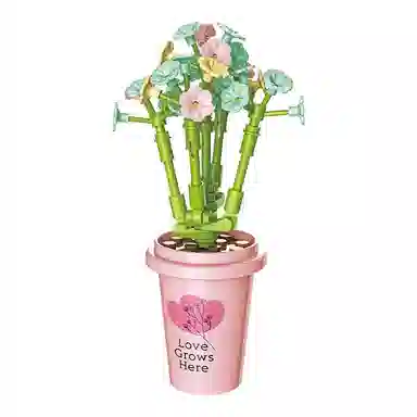 Teacher Lin 57pcs JK2658-5