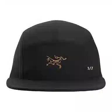 Arcteryx Cap