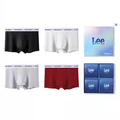 Lee 4