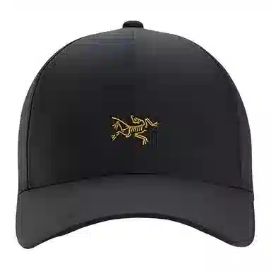 Arcteryx Cap