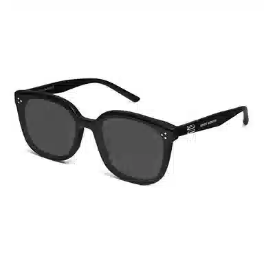 Gentle Monster Irregular Sunglasses Black