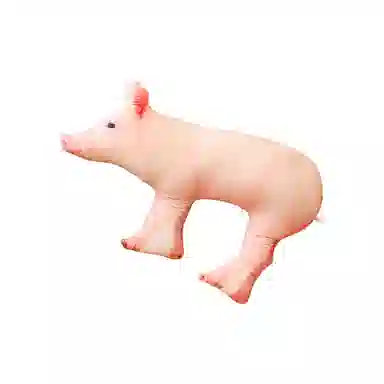50cm