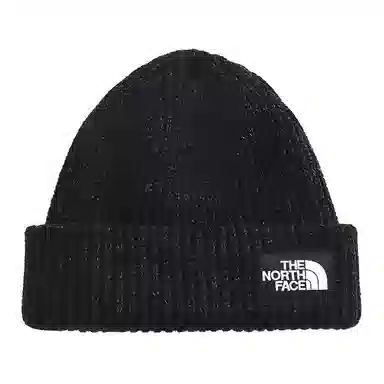 THE NORTH FACE FW21 Salty Dog Beanie 3FJW JK3