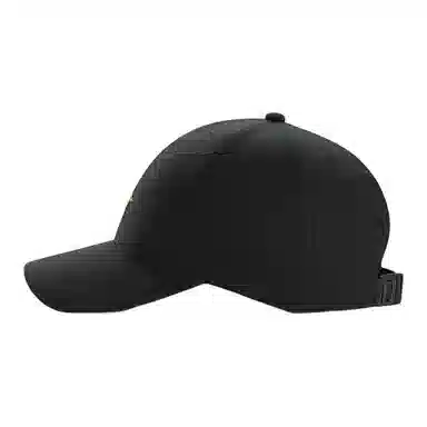 Arcteryx Cap
