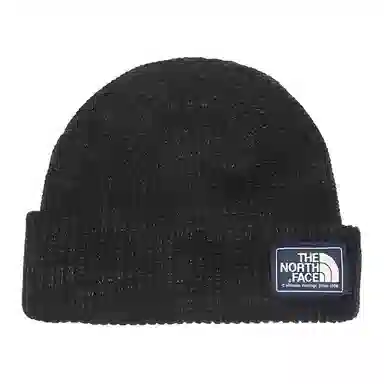 THE NORTH FACE FW21 Salty Dog Beanie 3FJW JK3